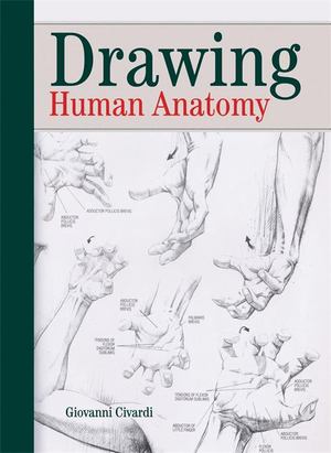 Drawing Human Anatomy Drawing Human Anatomy