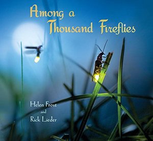 Among a Thousand Fireflies Among a Thousand Fireflies