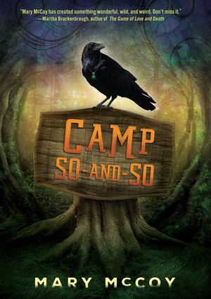 Camp So-And-So Camp So-And-So