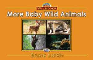 More Baby Wild Animals More Baby Wild Animals