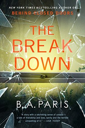 Breakdown: A Novel, The Breakdown: A Novel, The