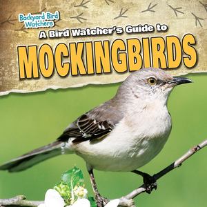 Bird Watcher's Guide to Mockingbirds, A Bird Watcher's Guide to Mockingbirds, A