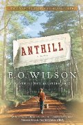 Anthill Anthill