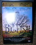Big Fish Big Fish