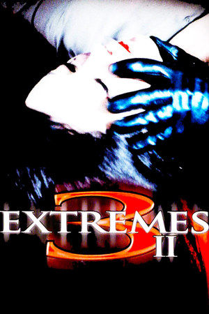 3 Extremes II 3 Extremes II