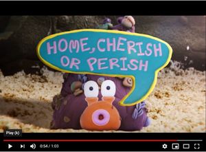 Misadventures of Hermit the Crab, The Misadventures of Hermit the Crab, The