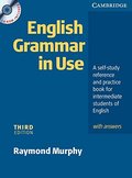 English grammar in use English grammar in use
