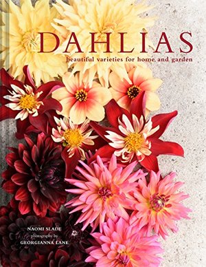 Dahlias: Beautiful varieties for home and garden Dahlias: Beautiful varieties for home and garden