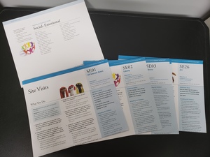 Intentional Teaching Cards - Social/Emotional Intentional Teaching Cards - Social/Emotional