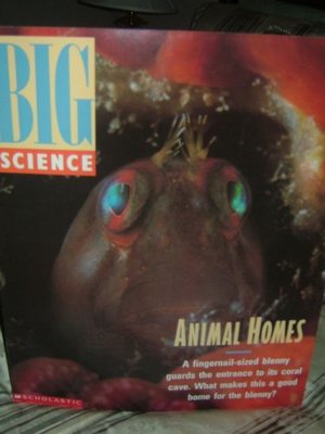 Animal Homes Big Book Animal Homes Big Book
