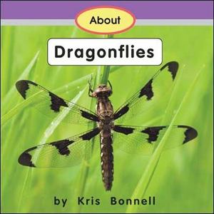 About Dragonflies 6 About Dragonflies 6