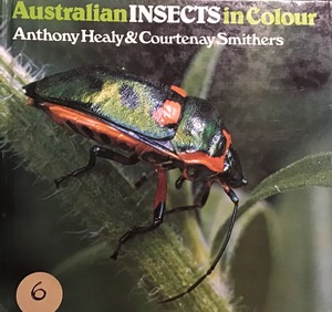 Australian insects in Colour Australian insects in Colour