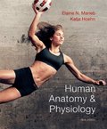 Human Anatomy & Physiology (9th Edition) Human Anatomy & Physiology (9th Edition)
