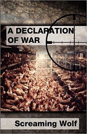 Declaration of War Declaration of War