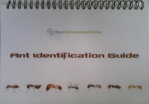 Ant Identification Guide Ant Identification Guide