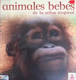 Animales bebés de la selva tropical Animales bebés de la selva tropical