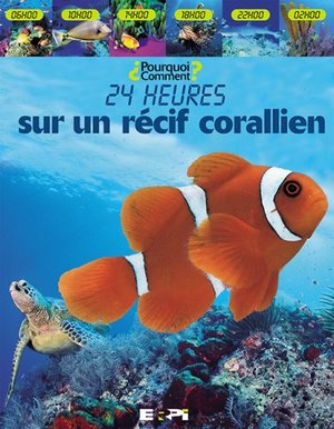 24 hrs sur un recif corallien pourquoi? comment? 24 hrs sur un recif corallien pourquoi? comment?