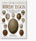 Birds Eggs (DK Handbooks) Birds Eggs (DK Handbooks)