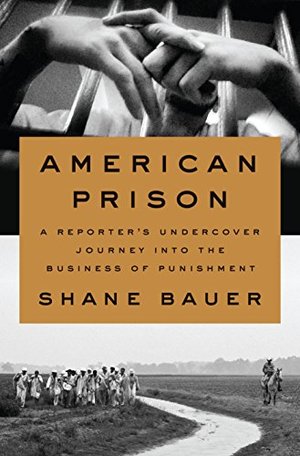 American Prison: A Reporter's Undercover Journey into the Business of Punishment American Prison: A Reporter's Undercover Journey into the Business of Punishment