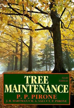 Tree Maintenance Tree Maintenance