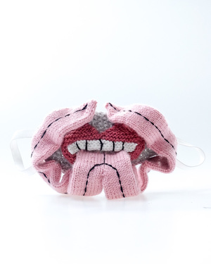 Knitted Face Mask Knitted Face Mask