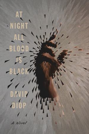At Night All Blood is Black At Night All Blood is Black