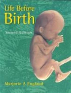 Life Before Birth Life Before Birth