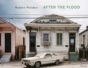 After the Flood After the Flood