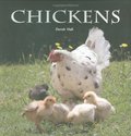 Chickens (Flexi cover series) Chickens (Flexi cover series)