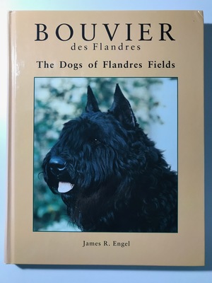 Bouvier Des Flandres Bouvier Des Flandres