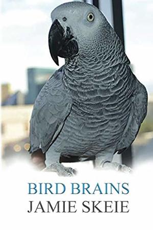 Bird Brains Bird Brains