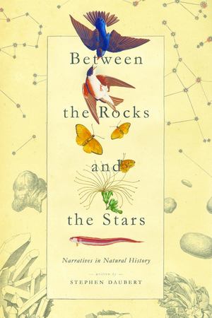 Between the Rocks and the Stars Between the Rocks and the Stars