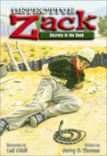 Detective Zack: Secrets in the Sand Detective Zack: Secrets in the Sand