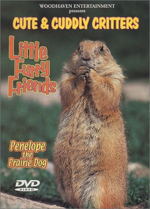 Cute & Cuddly Critters: Little Furry Friends Cute & Cuddly Critters: Little Furry Friends