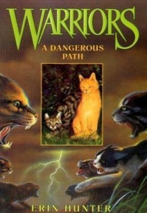 Dangerous Path (Warriors #5), A Dangerous Path (Warriors #5), A