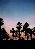 All-Inclusive: A Tourist World All-Inclusive: A Tourist World