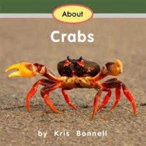 About Crabs About Crabs