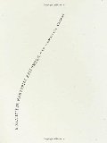 Beautiful Marsupial Afternoon: New (Soma)tics, A Beautiful Marsupial Afternoon: New (Soma)tics, A