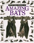 Amazing Bats Amazing Bats