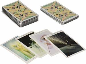Fountain Tarot: Illustrated Deck and Guidebook, The Fountain Tarot: Illustrated Deck and Guidebook, The