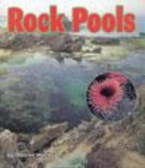 2. 4 Rock Pools 2. 4 Rock Pools
