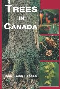 Trees In Canada Trees In Canada