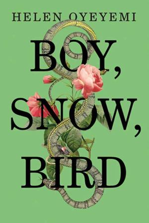 Boy, Snow, Bird Boy, Snow, Bird