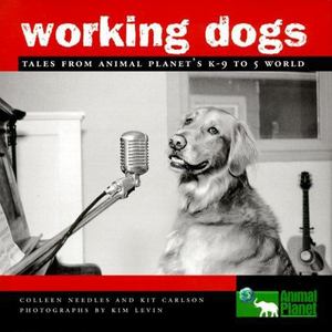 Working Dogs Working Dogs