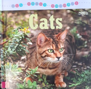 ALL ABOUT ANIMALS - CATS ALL ABOUT ANIMALS - CATS