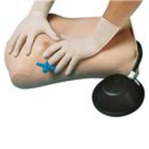 Pneumothorax Training Manikin Pneumothorax Training Manikin