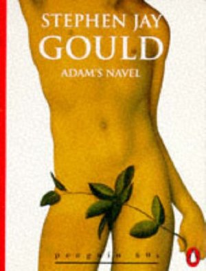 Adam's Navel Adam's Navel