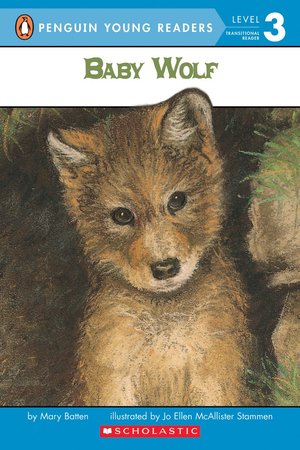 Baby Wolf Baby Wolf