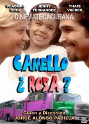 Camello rosa Camello rosa