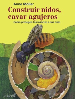 Construir nidos, cavar agujeros. como protegen los insectos a sus crias (Bicherio) Construir nidos, cavar agujeros. como protegen los insectos a sus crias (Bicherio)